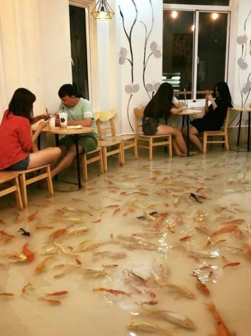 Вьетнамский ресторан с необычным полом