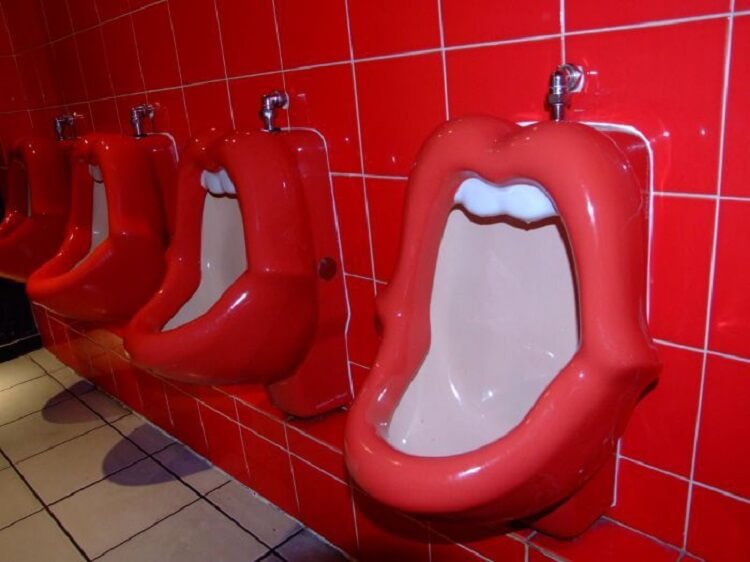 Подборка самых странных туалетов мира