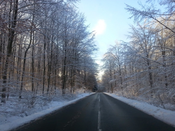 Лесная дорога зимой (Westerwald)