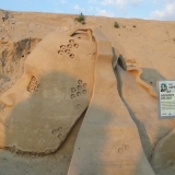 Скульптура из песка 16