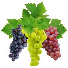 Вкусный ли виноград?