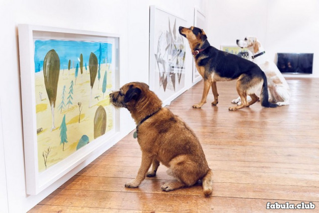 Выставка современного искусства для… собак