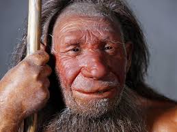 Факты о неандертальцах