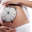 Определение точного срока родов