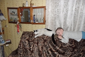 Кот Муська.