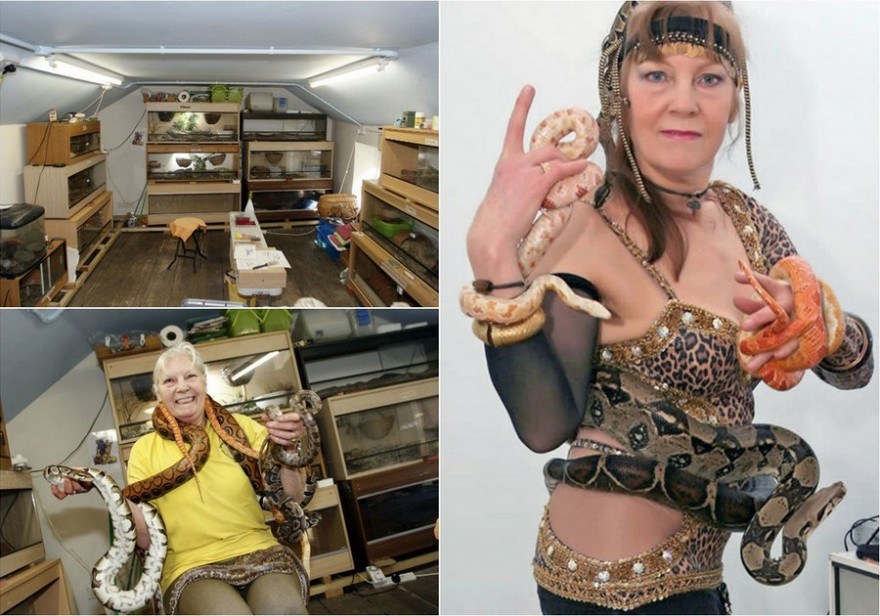 Сью Коулман - любительница змей