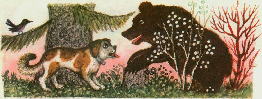 Медведи выгуливают собаку