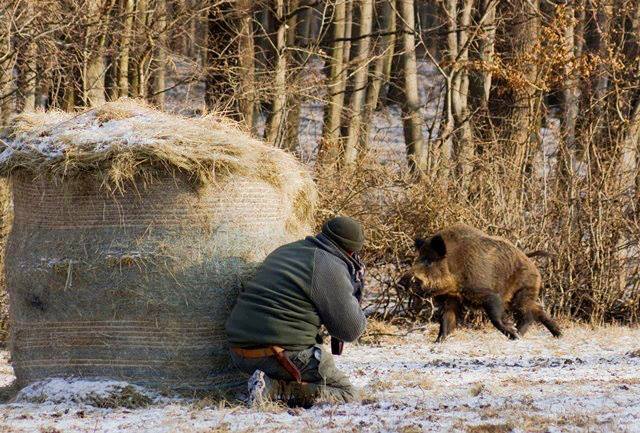 Самый смешной случай в вашей жизни?