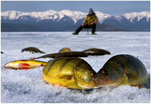 Куда бы на зимнюю рыбалку?