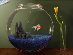 Ваш аквариум