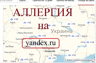 Аллергокарта - новые Яндекс карты для аллергиков.