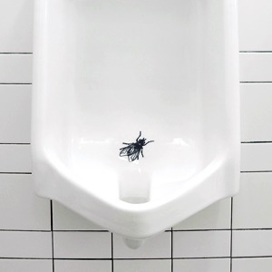 Как мухи помогают поддерживать чистоту в туалете?