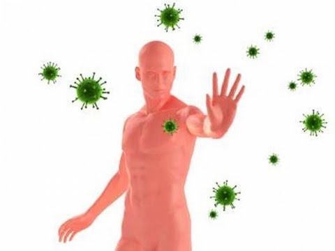 Что может вредить состоянию иммунной системы?