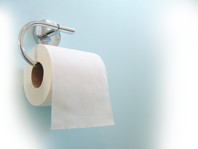 Как раньше люди обходились без такой важной вещи как туалетная бумага?