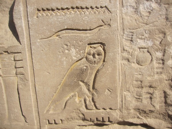 Кто из представителей животного мира был в почете у древних египтян?