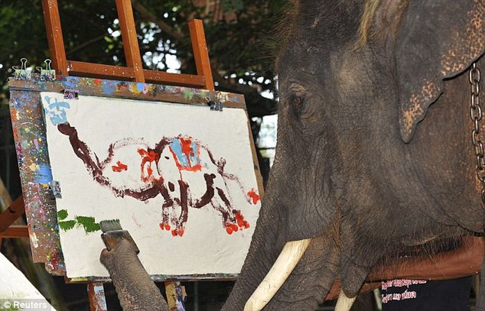 Как слоны подрабатывают художниками?