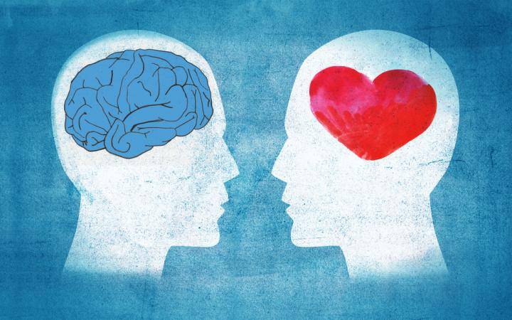 Каким органом  человек влюбляется и любит в первую очередь- мозгом или сердцем?