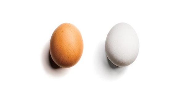 Правда ли, что яйца с коричневой скорлупой полезнее, чем с белой?