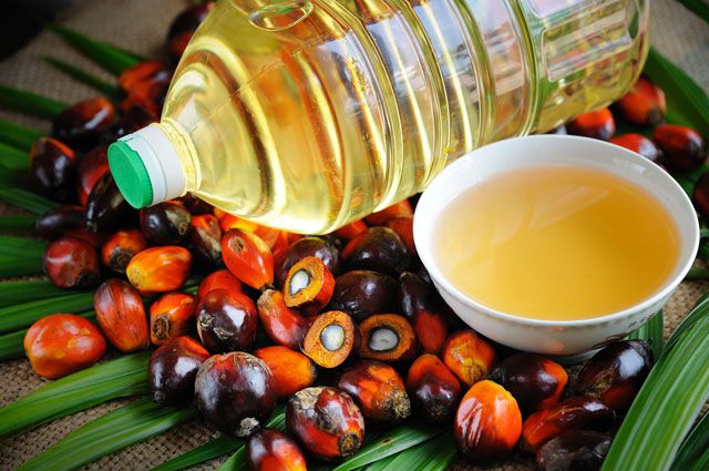 Так ли опасно пальмовое масло?