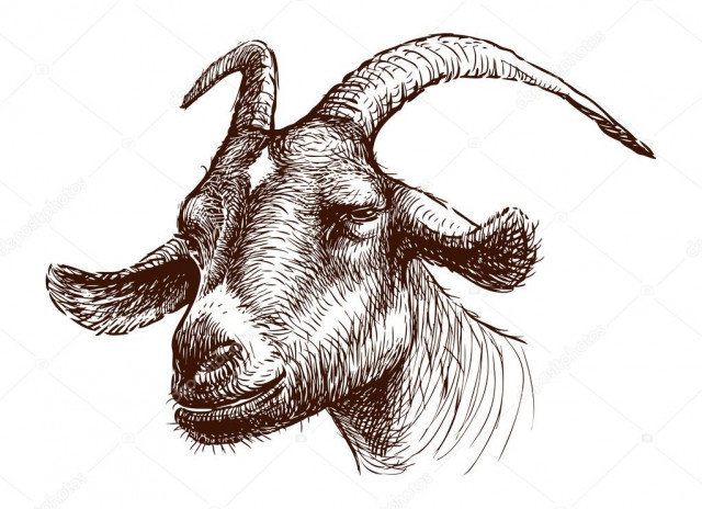Почему именно козел ассоциируется с образом дьявола?